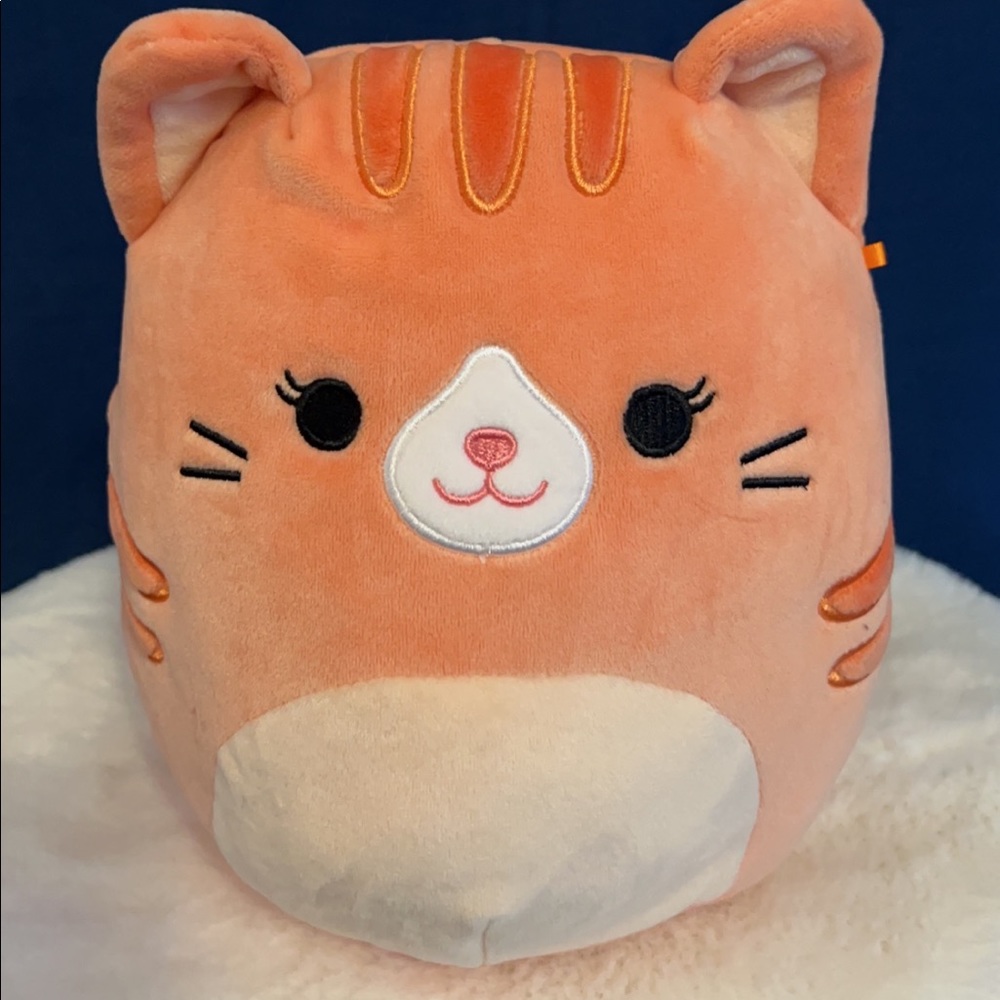 8” tabby cat squishmallow Gigi